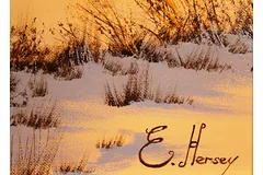 Signature image, click to enlarge