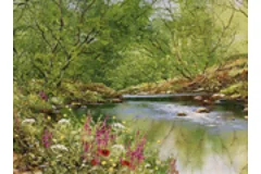 Large image, click to enlarge