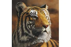 No frame image, click to enlarge