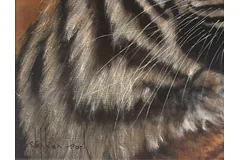 Signature image, click to enlarge