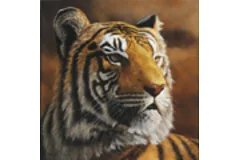Large image, click to enlarge