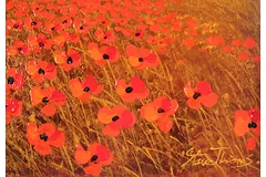 Signature image, click to enlarge