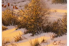 Signature image, click to enlarge