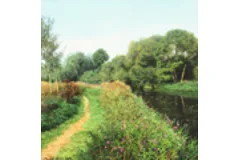 Large image, click to enlarge