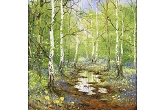 No frame image, click to enlarge