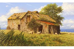 No frame image, click to enlarge