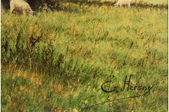 Signature image, click to enlarge