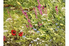 Signature image, click to enlarge