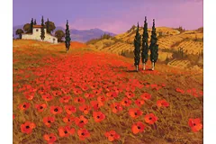 No frame image, click to enlarge