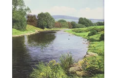 No frame image, click to enlarge