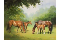 No frame image, click to enlarge