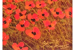 Signature image, click to enlarge