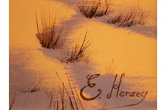 Signature image, click to enlarge