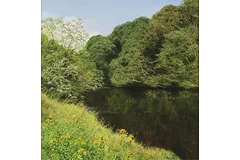 No frame image, click to enlarge