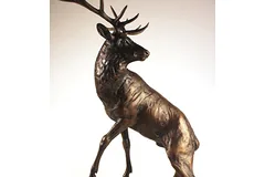 Large image, click to enlarge