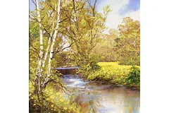 No frame image, click to enlarge