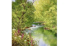No frame image, click to enlarge