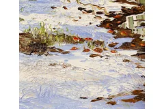Signature image, click to enlarge