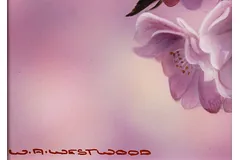 Signature image, click to enlarge