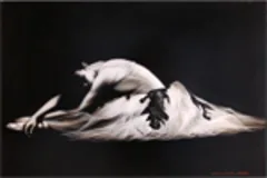 Large image, click to enlarge