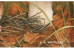 Signature image, click to enlarge