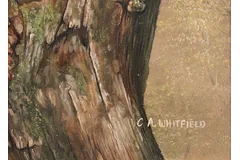Signature image, click to enlarge