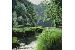No frame image, click to enlarge