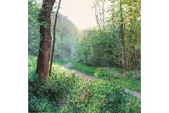 No frame image, click to enlarge