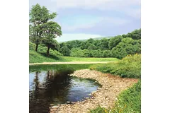 No frame image, click to enlarge