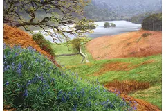 No frame image, click to enlarge