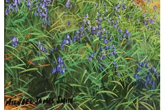 Signature image, click to enlarge