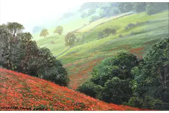 No frame image, click to enlarge