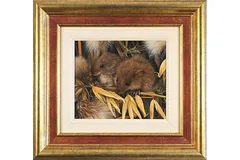 Large image, click to enlarge