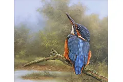 No frame image, click to enlarge
