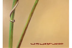 Signature image, click to enlarge