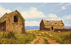 No frame image, click to enlarge