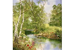 No frame image, click to enlarge