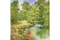 No frame image, click to enlarge