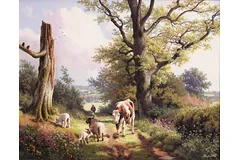 No frame image, click to enlarge