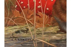 Signature image, click to enlarge