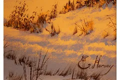 Signature image, click to enlarge