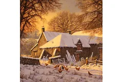 No frame image, click to enlarge