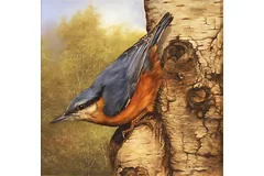 No frame image, click to enlarge
