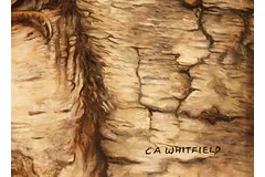 Signature image, click to enlarge