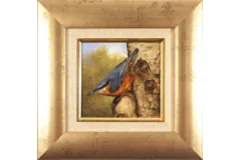 Large image, click to enlarge