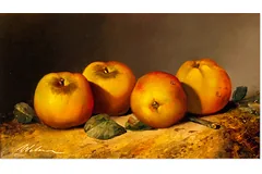 No frame image, click to enlarge