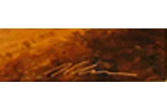 Signature image, click to enlarge