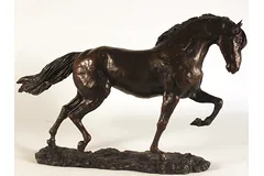 No frame image, click to enlarge