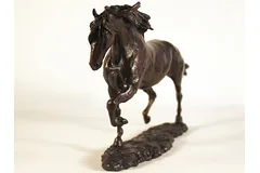 Signature image, click to enlarge