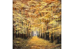 No frame image, click to enlarge